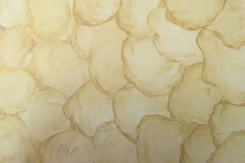 藝術(shù)涂料又火了！你知道其實(shí)它有十幾個(gè)表現(xiàn)形態(tài)嗎？_14